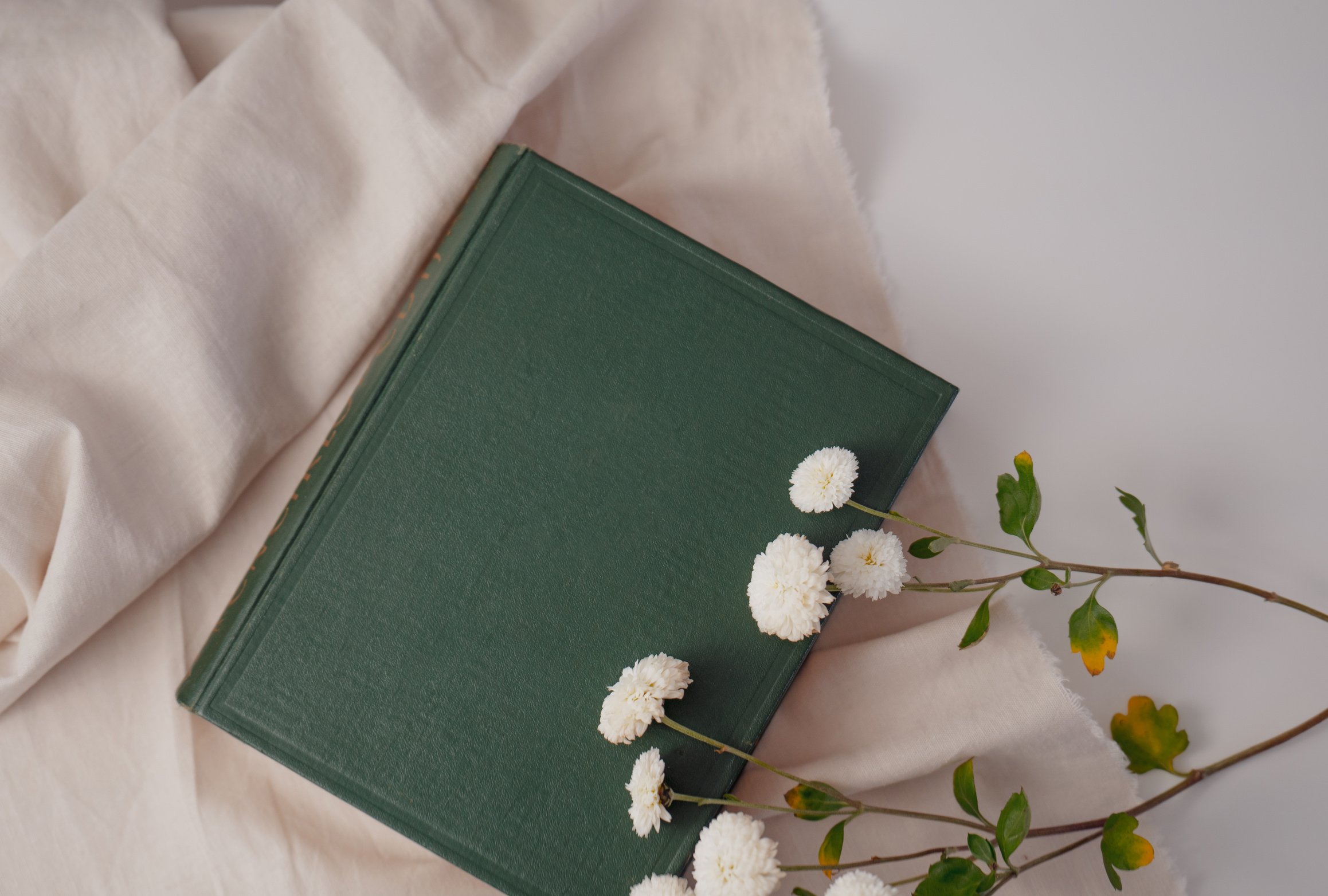 Old book flatlay, aesthetic pastels